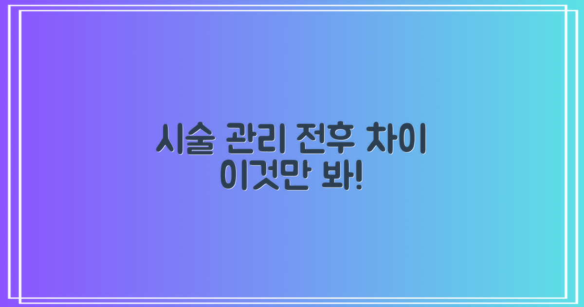시술 전후 관리 비교