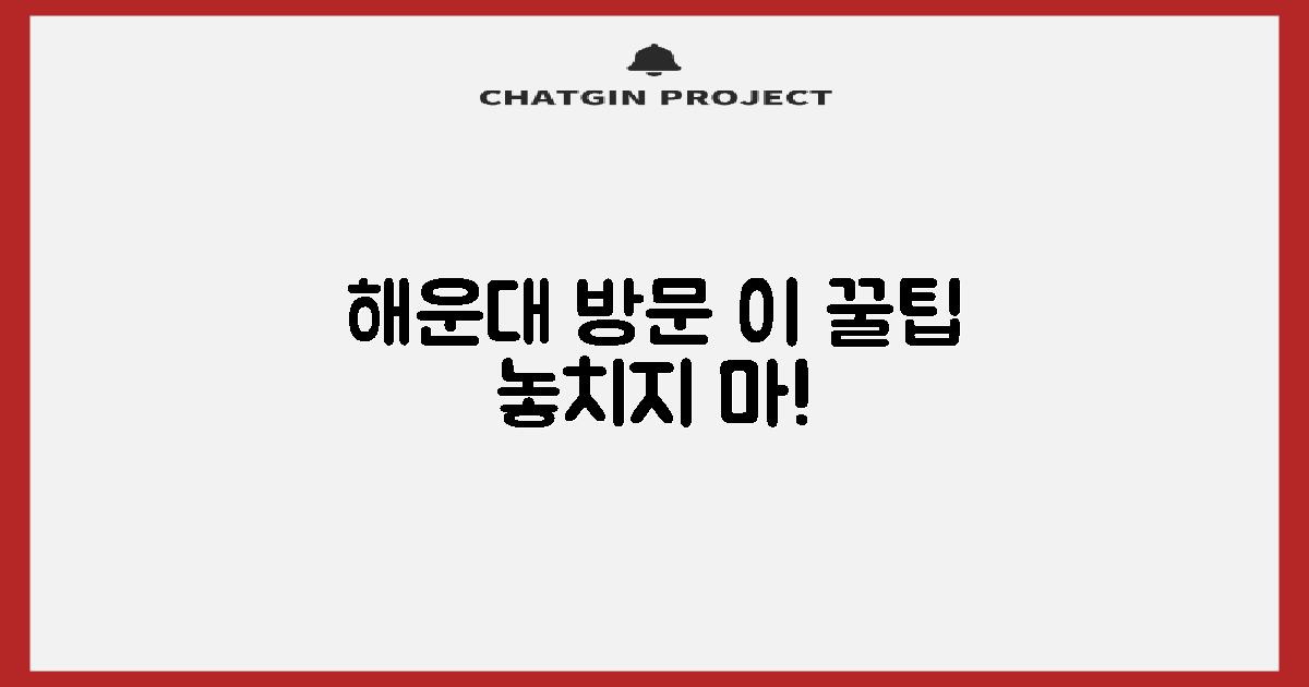 해운대 방문 전, 꼭 확인하고 가세요!