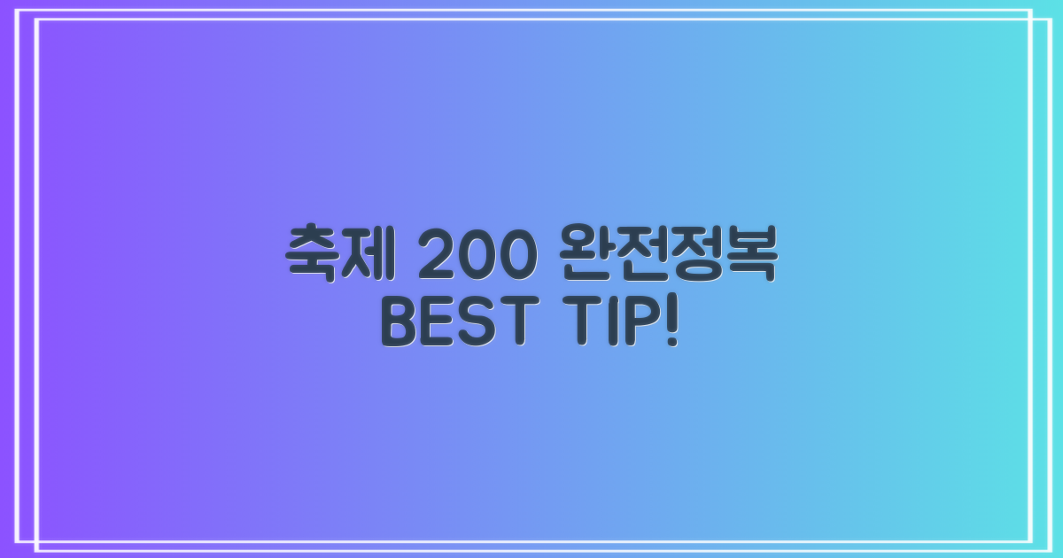 축제 200% 즐기는 꿀팁